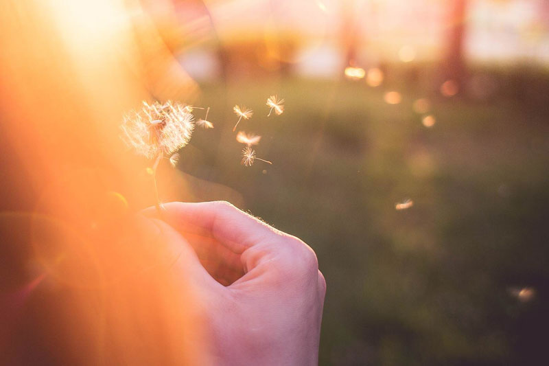 幸せになるための5つの要素